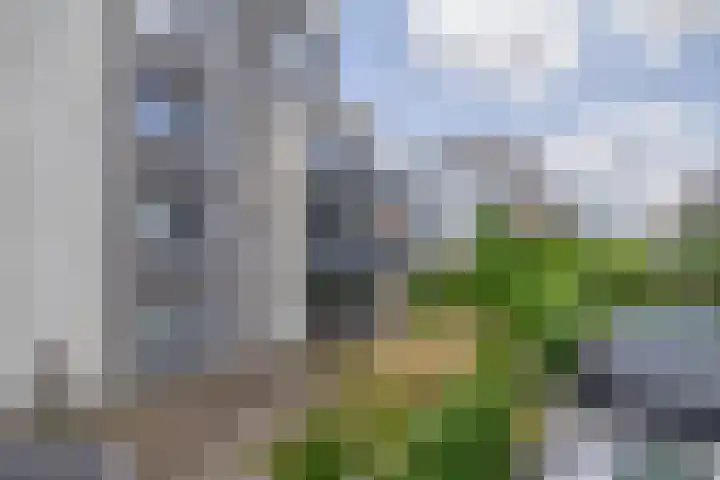 Olivier van Noorthof 7 Almere thumbnail 6