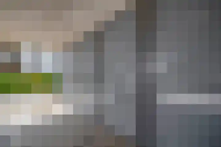 Olivier van Noorthof 7 Almere thumbnail 7