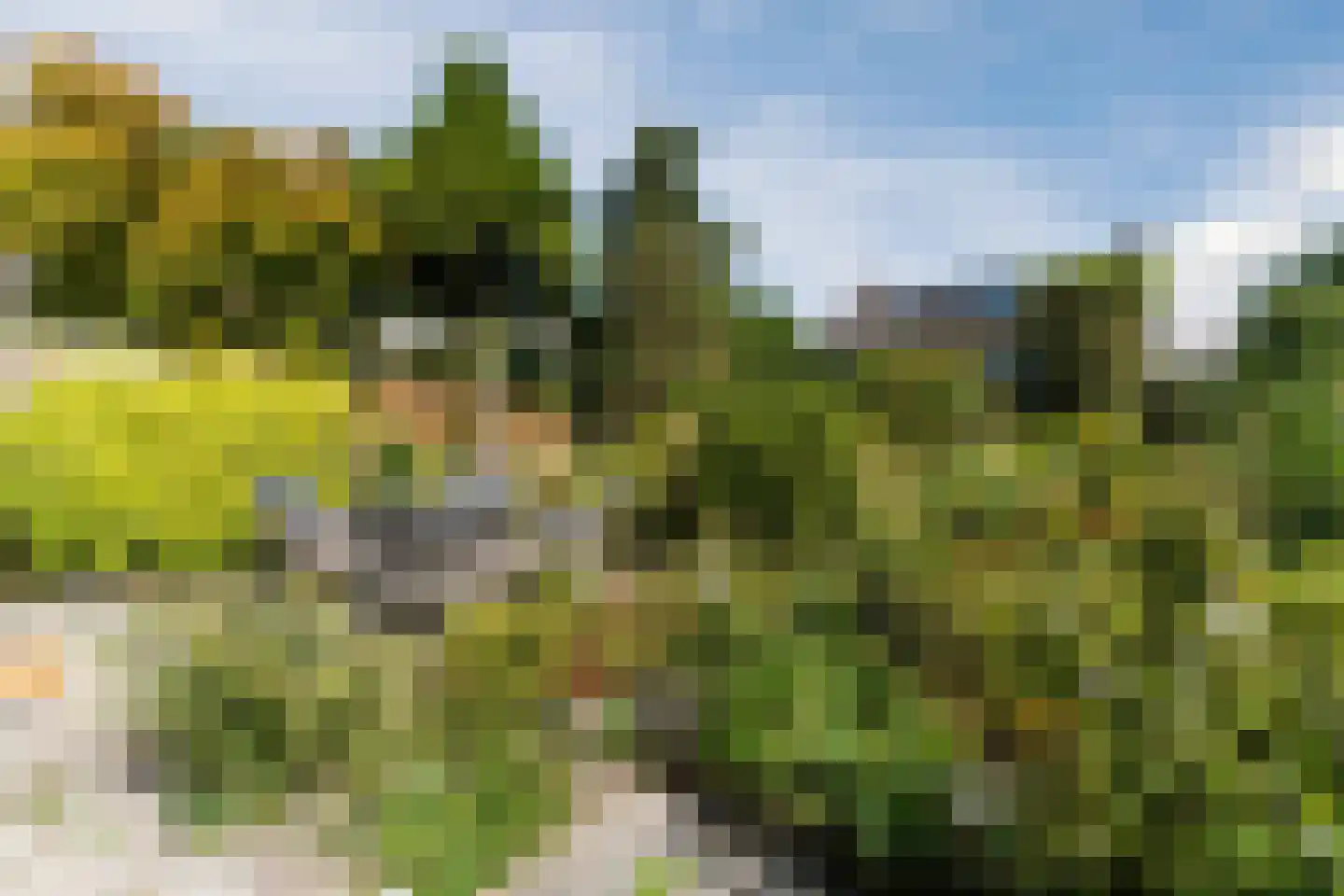 Olivier van Noortlaan 11 Maarssen thumbnail 31