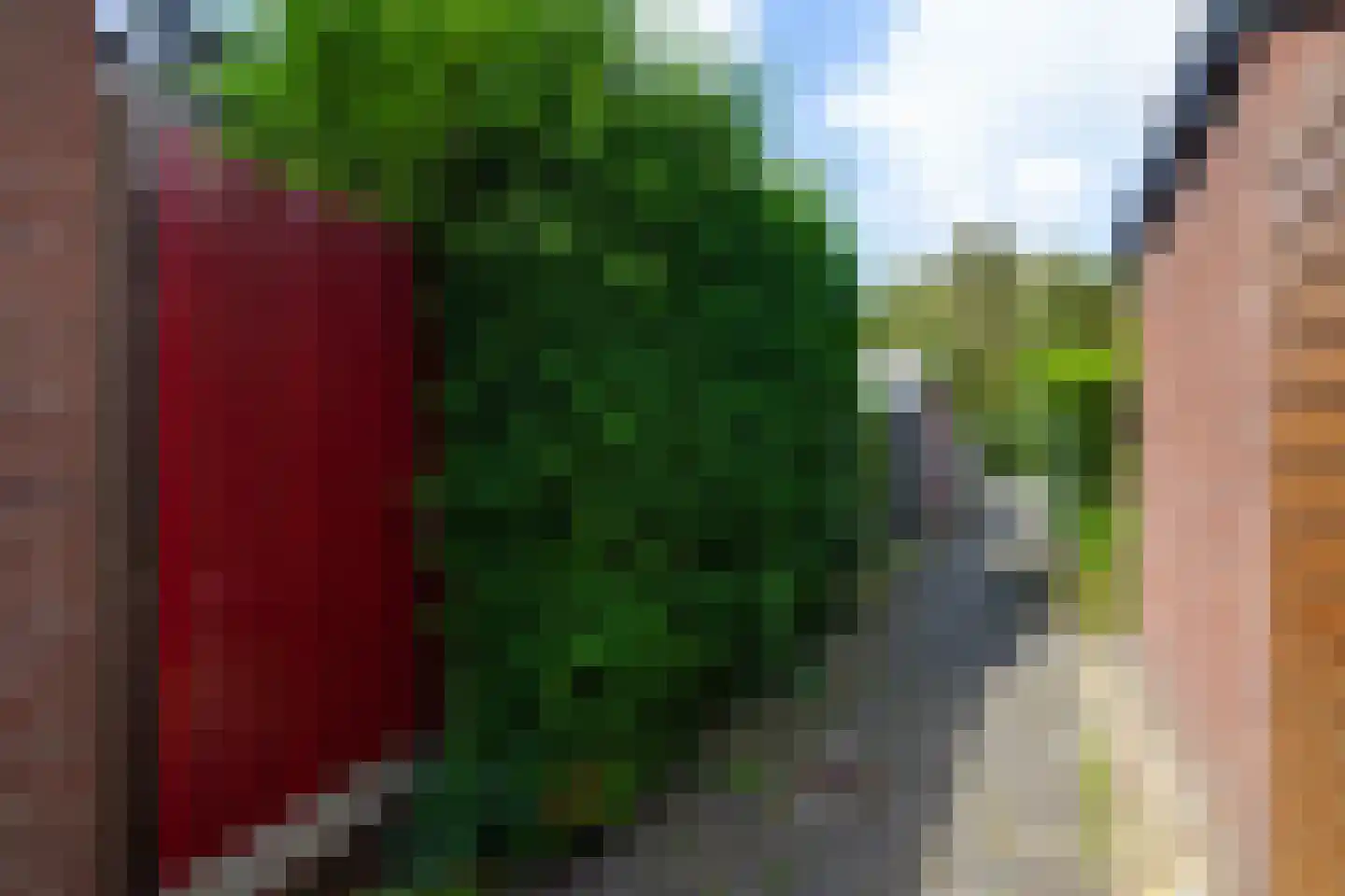 Olivier van Noortlaan 12 Gouda thumbnail 33