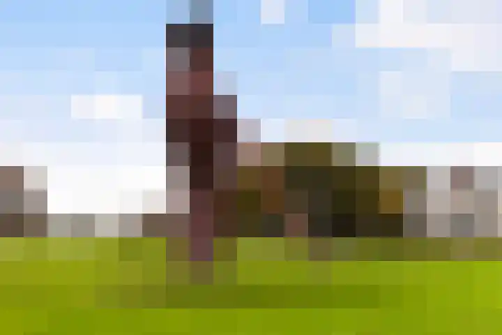 Olivier van Noortlaan 54 Vlaardingen thumbnail 41