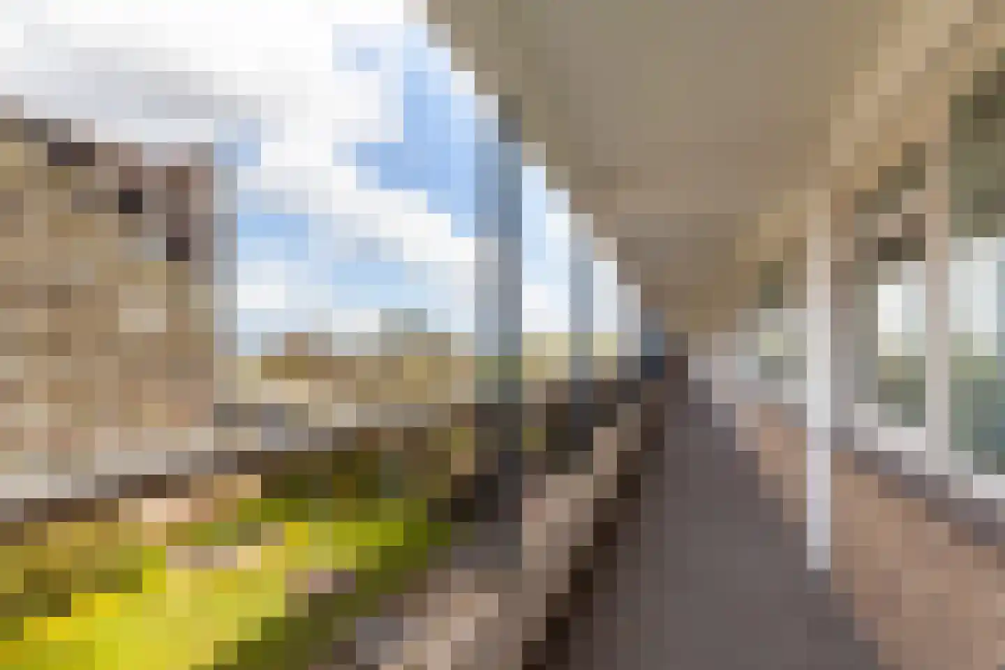 Olivier van Noortlaan 82 Vlaardingen thumbnail 8