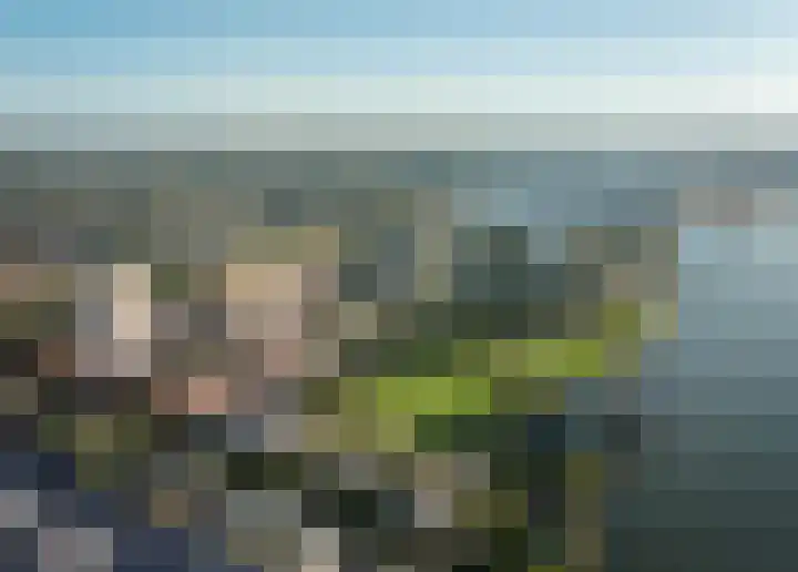 Olivier van Noortlaan 99 Vlaardingen thumbnail 8