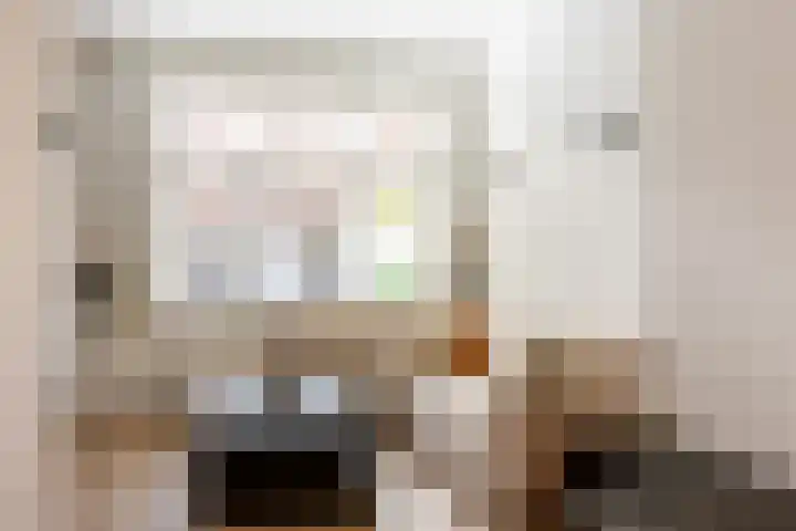 Olivier van Noortplein 19 Schoonhoven thumbnail 14