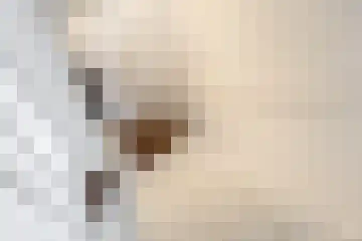 Olivier van Noortplein 19 Schoonhoven thumbnail 27