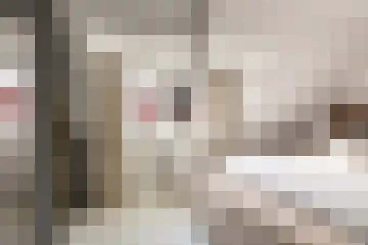 Olivier van Noortplein 19 Schoonhoven thumbnail 28