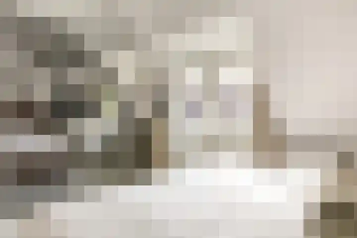 Olivier van Noortplein 19 Schoonhoven thumbnail 31