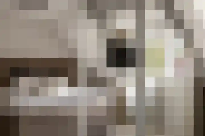 Olivier van Noortplein 19 Schoonhoven thumbnail 32