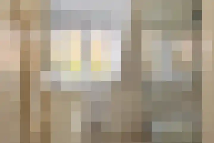 Olivier van Noortplein 19 Schoonhoven thumbnail 37