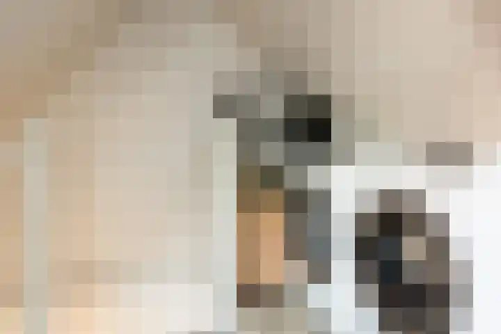 Olivier van Noortplein 19 Schoonhoven thumbnail 39