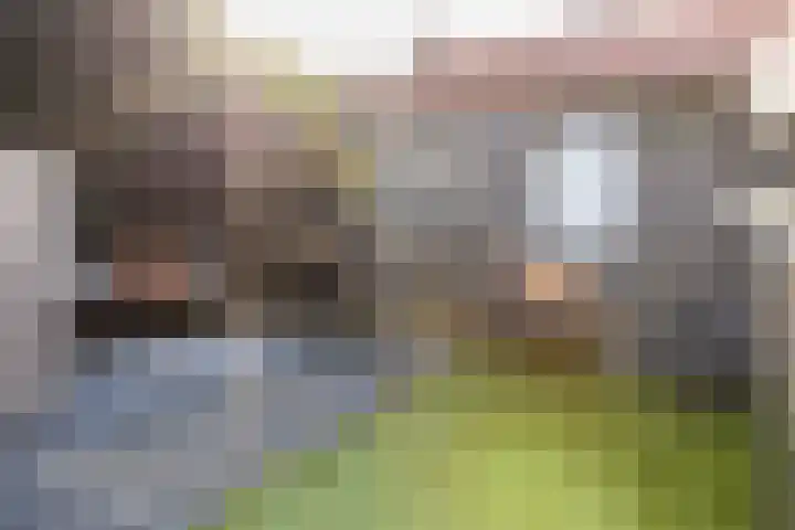 Olivier van Noortplein 19 Schoonhoven thumbnail 43