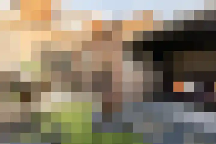 Olivier van Noortplein 19 Schoonhoven thumbnail 46