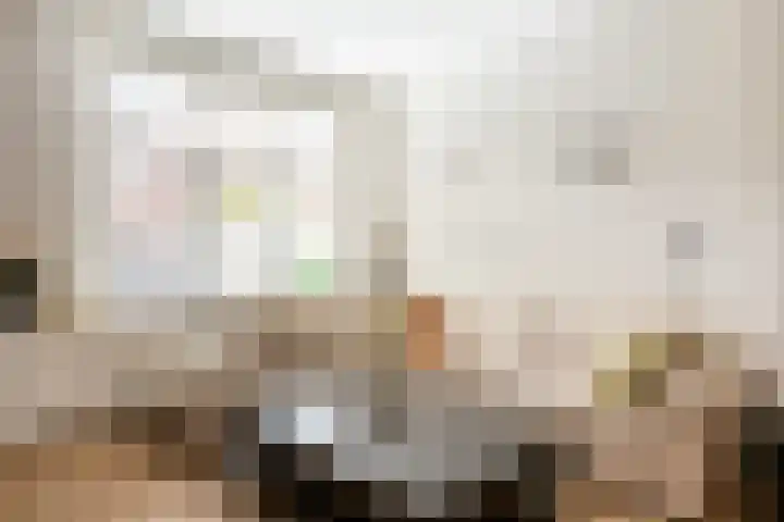 Olivier van Noortplein 19 Schoonhoven thumbnail 5