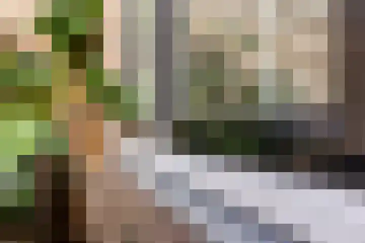 Olivier van Noortplein 19 Schoonhoven thumbnail 50