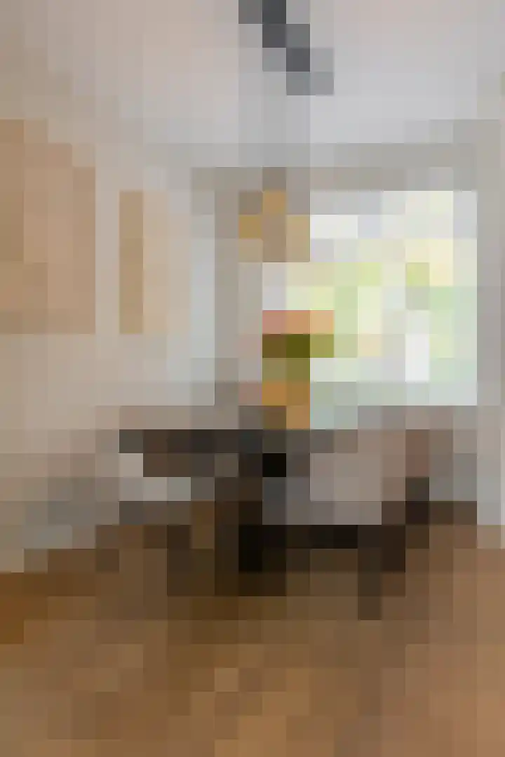 Olivier van Noortplein 19 Schoonhoven thumbnail 59