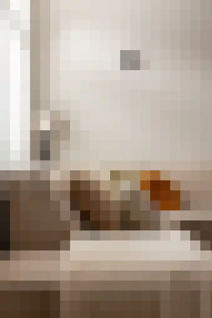 Olivier van Noortplein 19 Schoonhoven thumbnail 62