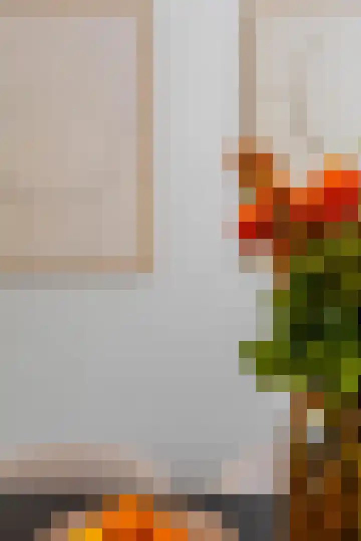 Olivier van Noortplein 19 Schoonhoven thumbnail 64