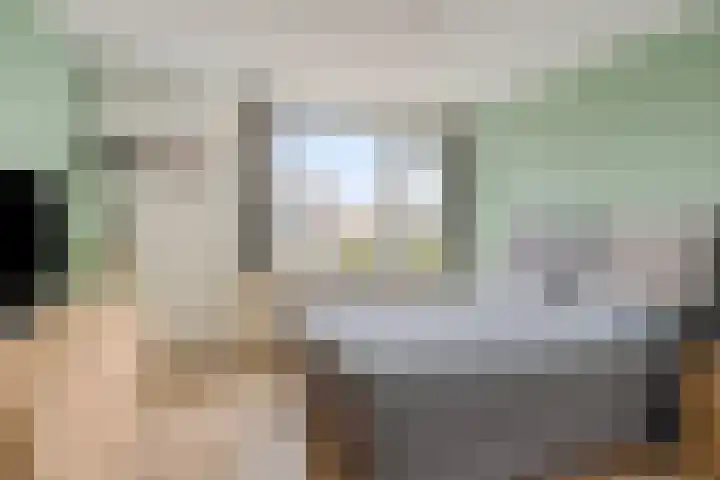 Olivier van Noortsingel 5 Oud-Beijerland thumbnail 12