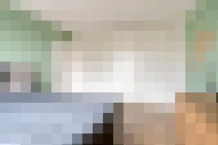 Olivier van Noortsingel 5 Oud-Beijerland thumbnail 13