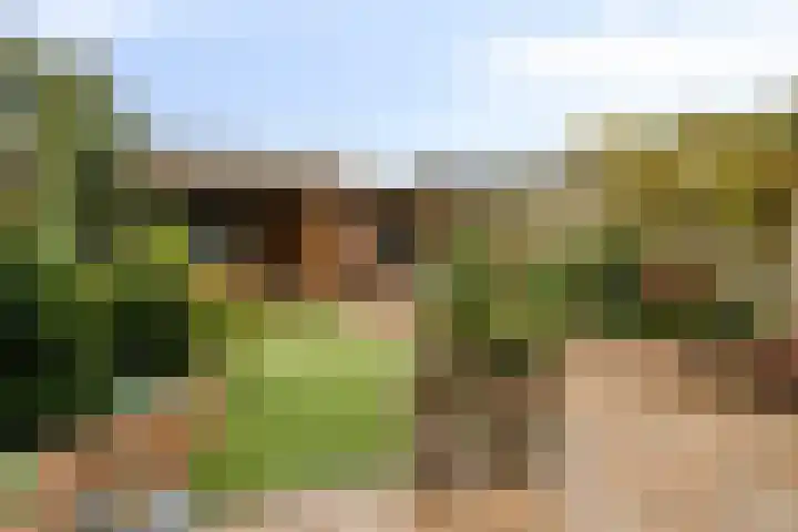 Olivier van Noortsingel 5 Oud-Beijerland thumbnail 28