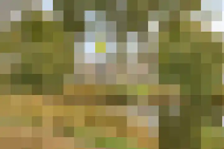 Olivier van Noortsingel 5 Oud-Beijerland thumbnail 36