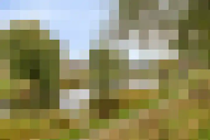 Olivier van Noortsingel 5 Oud-Beijerland thumbnail 38