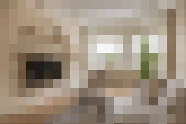 Olivier van Noortstraat 1 Schoonhoven thumbnail 12