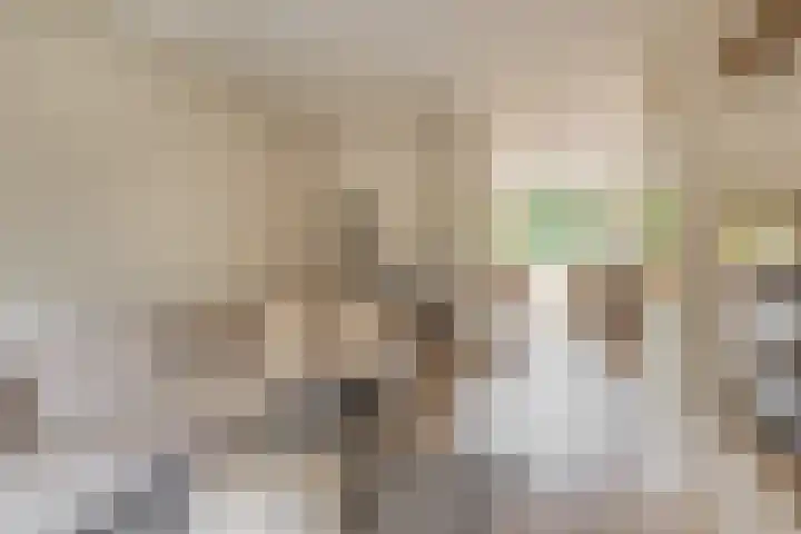 Olivier van Noortstraat 1 Schoonhoven thumbnail 13