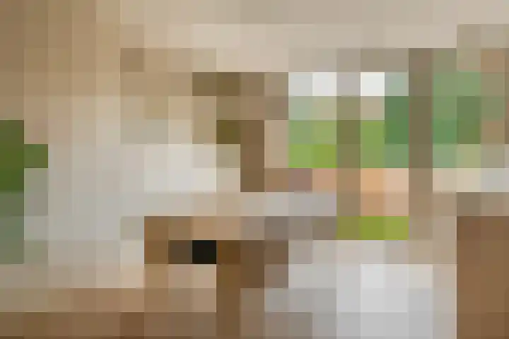 Olivier van Noortstraat 1 Schoonhoven thumbnail 15