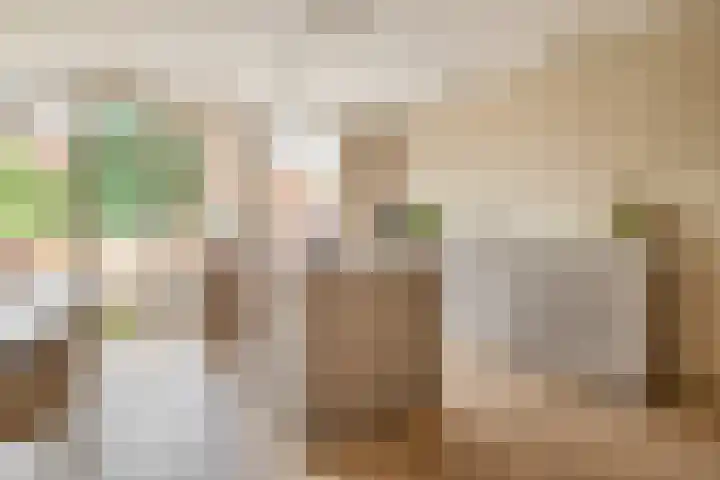 Olivier van Noortstraat 1 Schoonhoven thumbnail 20
