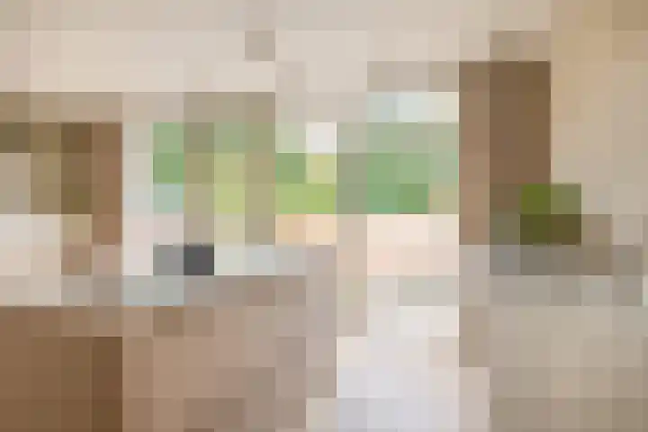 Olivier van Noortstraat 1 Schoonhoven thumbnail 22
