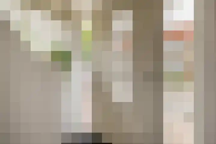 Olivier van Noortstraat 1 Schoonhoven thumbnail 8
