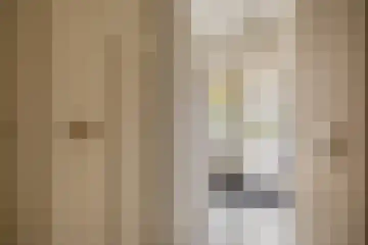 Olivier van Noortstraat 1 Schoonhoven thumbnail 9