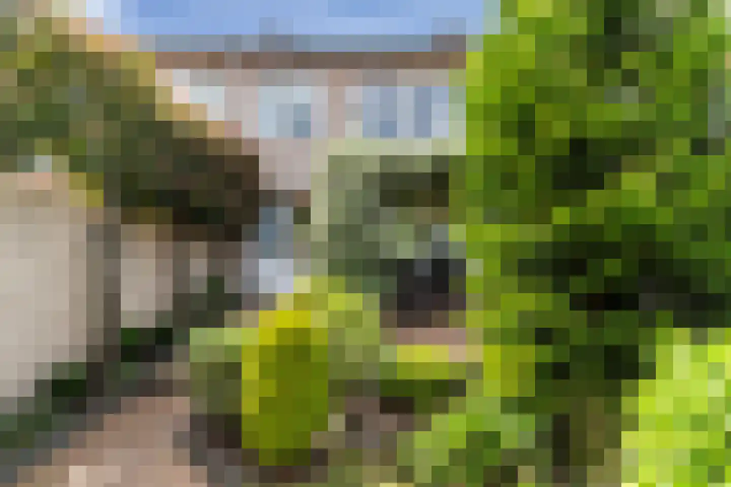 Olivier van Noortstraat 10 Dordrecht thumbnail 20