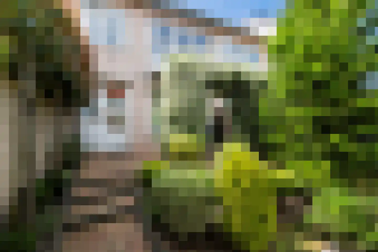 Olivier van Noortstraat 10 Dordrecht thumbnail 21