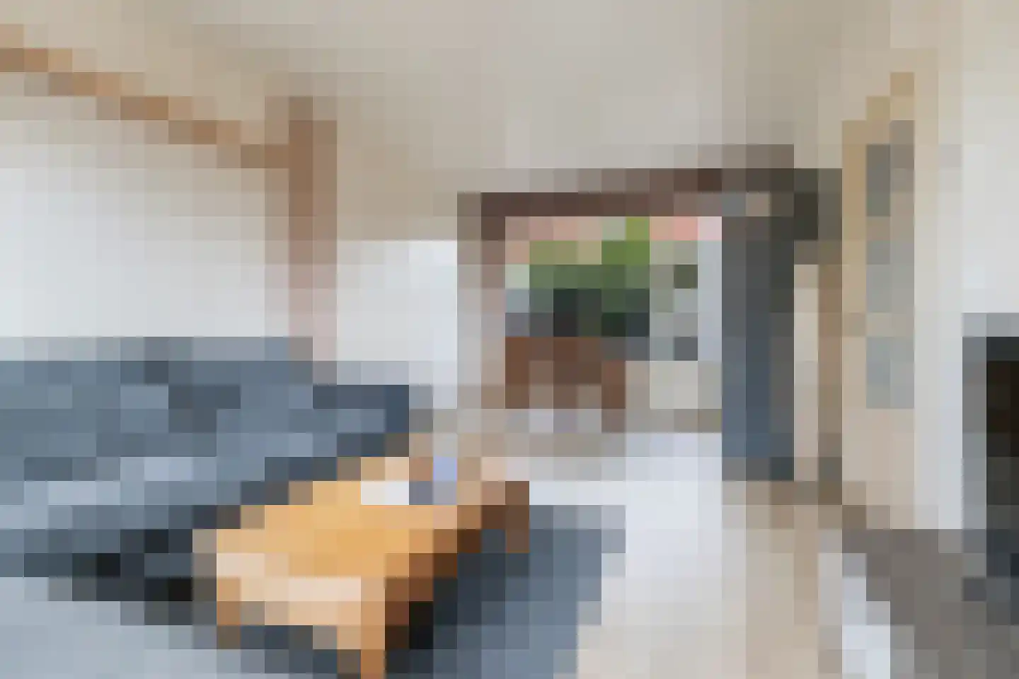 Olivier van Noortstraat 10 Dordrecht thumbnail 5