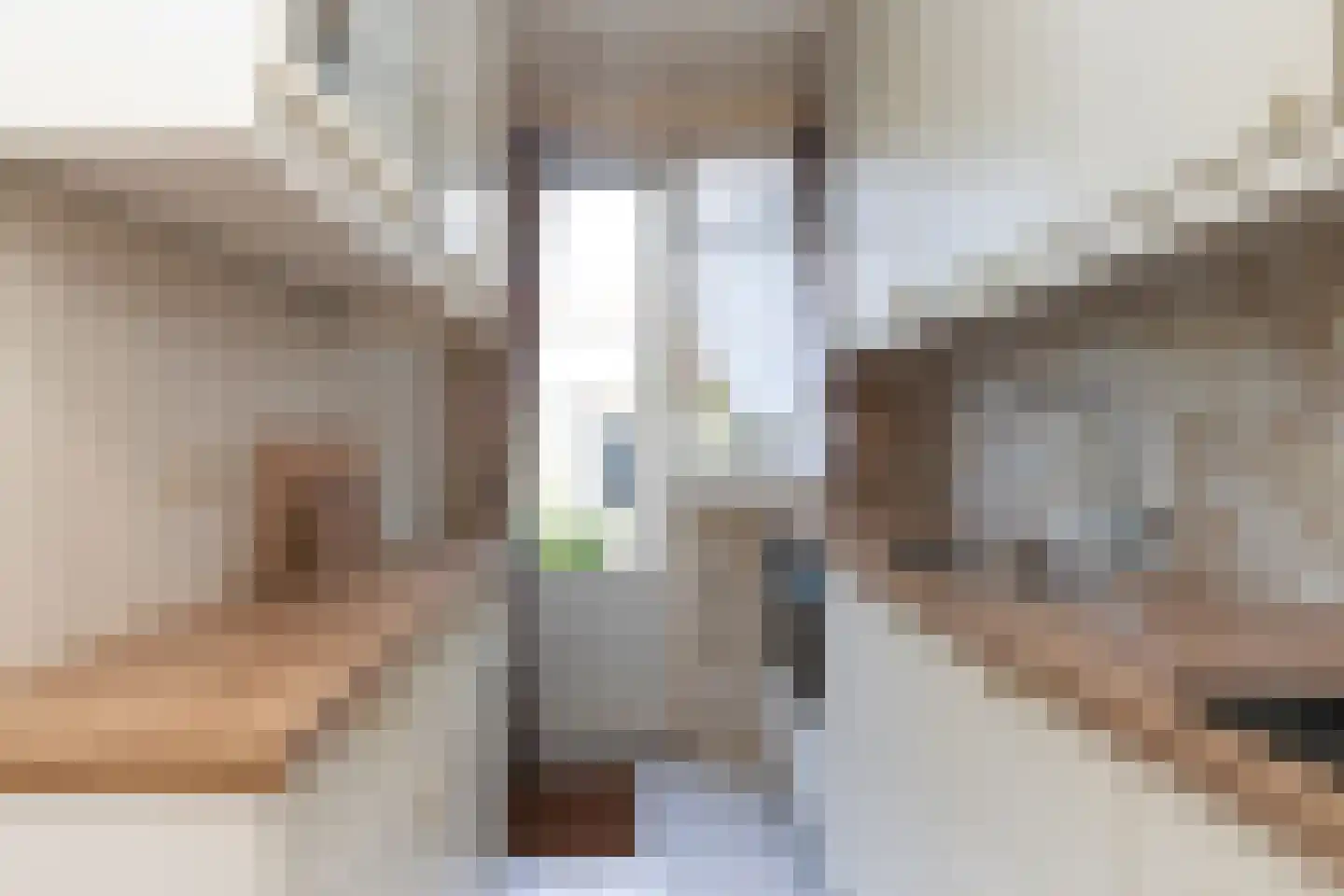 Olivier van Noortstraat 10 Dordrecht thumbnail 8
