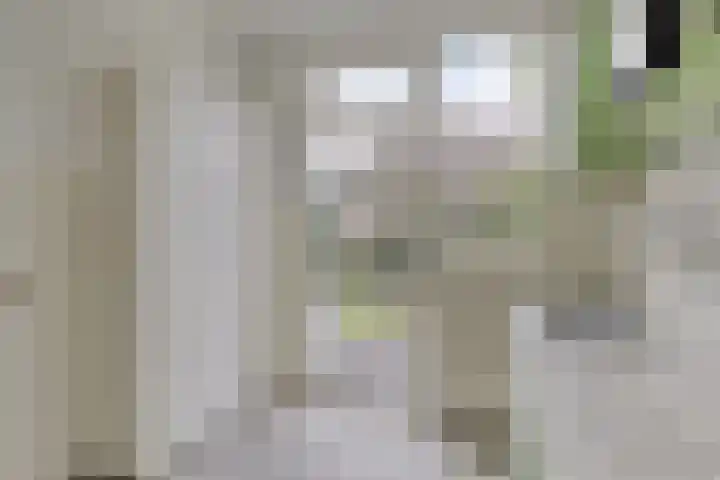 Olivier van Noortstraat 13 Rheden thumbnail 12