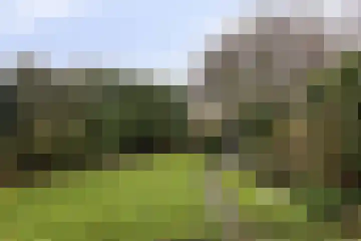 Olivier van Noortstraat 13 Rheden thumbnail 27