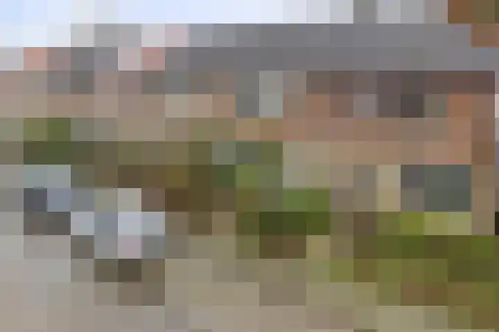 Olivier van Noortstraat 13 Rheden thumbnail 30