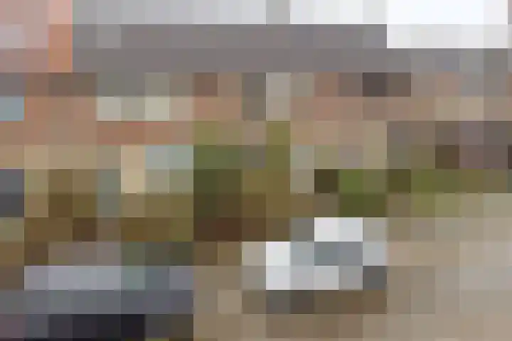 Olivier van Noortstraat 13 Rheden thumbnail 31