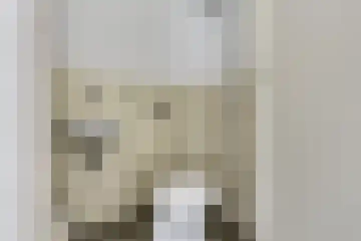 Olivier van Noortstraat 13 Rheden thumbnail 5