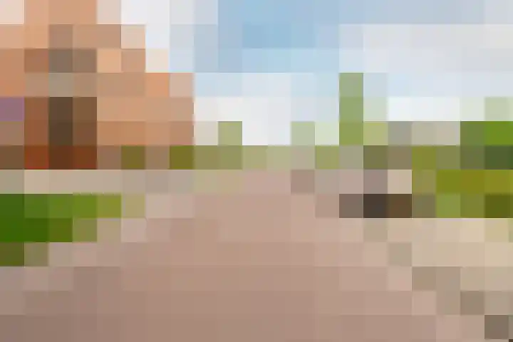 Olivier van Noortstraat 168 Almere thumbnail 25