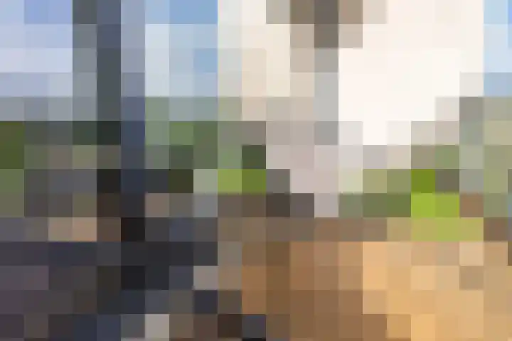 Olivier van Noortstraat 208 Almere thumbnail 5