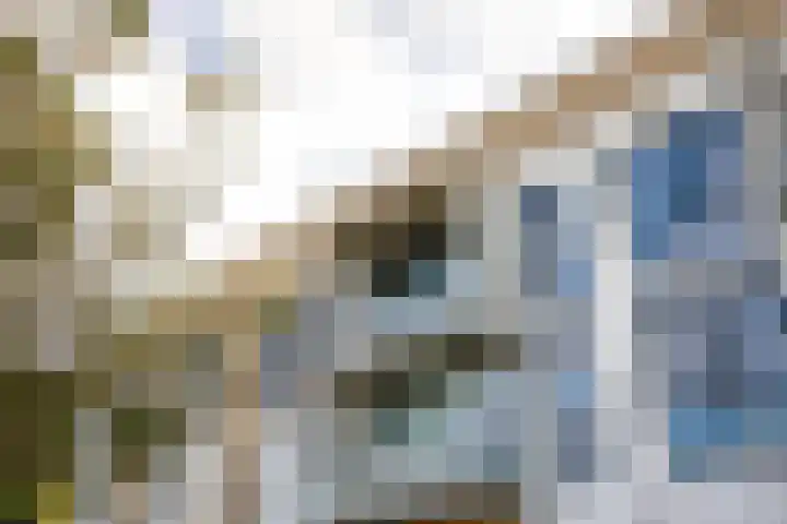 Olivier van Noortstraat 208 Almere thumbnail 8