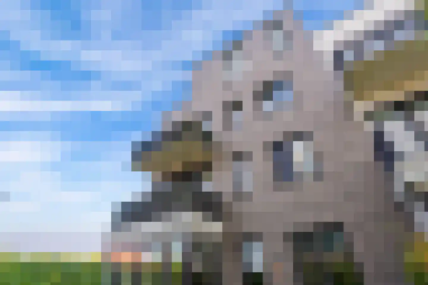 Olivier van Noortstraat 4 C Almere thumbnail 35