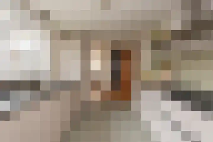 Olivier van Noortstraat 4 c Tilburg thumbnail 16
