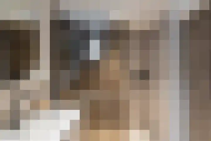 Olivier van Noortstraat 4 c Tilburg thumbnail 17