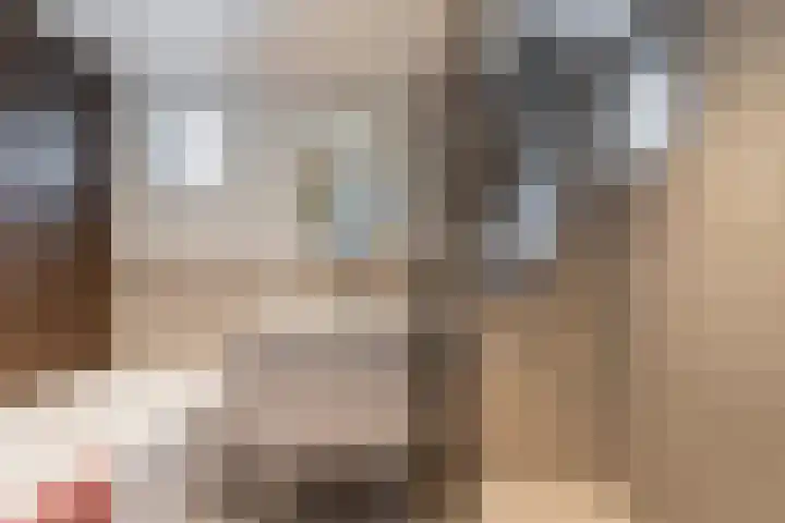 Olivier van Noortstraat 4 c Tilburg thumbnail 20