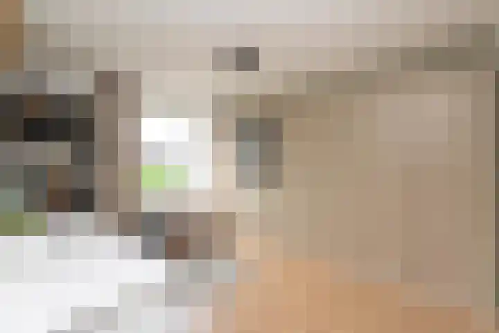 Olivier van Noortstraat 4 c Tilburg thumbnail 24